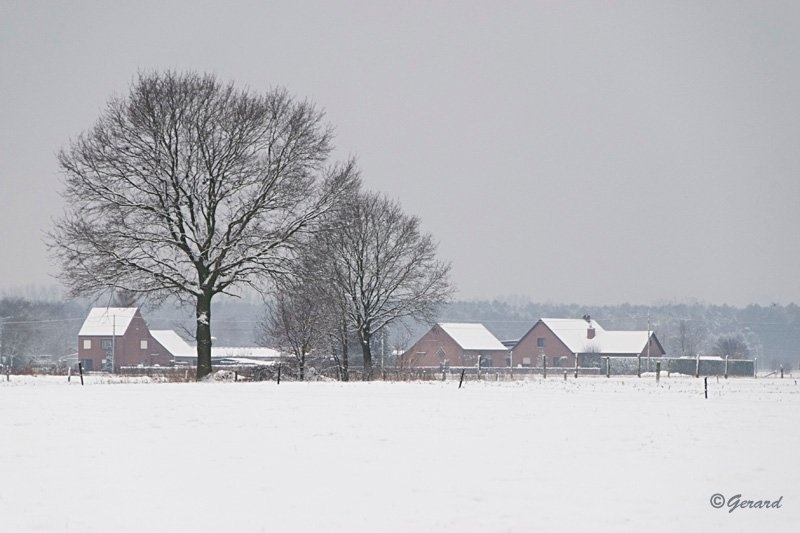 Sneeuwlandschap De Winter 1.jpg - Sneeuwlandschap De Winter